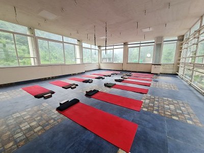 ananda yoga and wellness center rishikesh