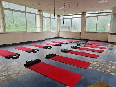 ananda yoga and wellness center rishikesh